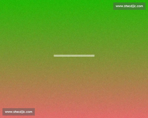 法比奥盛赞塞蒂恩:革新理念激活青春风暴,国安教头诠释世界级执教智慧