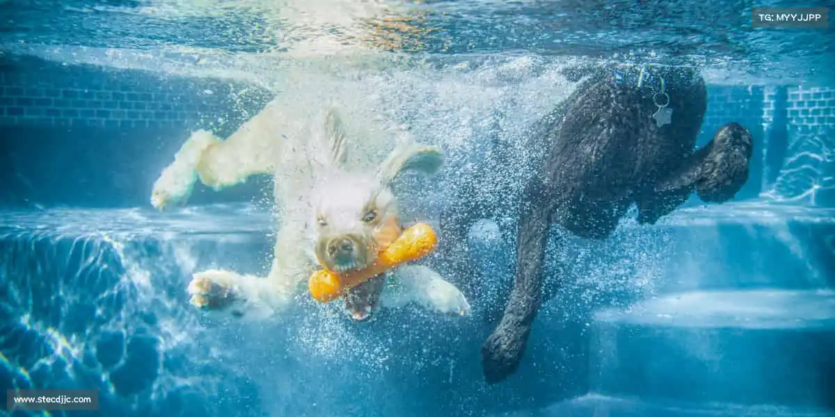 <strong>必一运动</strong>用运动解锁活力，每一天都是新起点！🔓